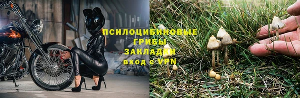 дмт Балабаново