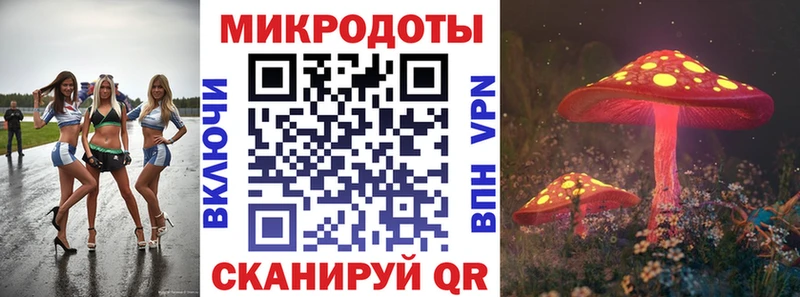 что такое   Петровск-Забайкальский  Галлюциногенные грибы мицелий 